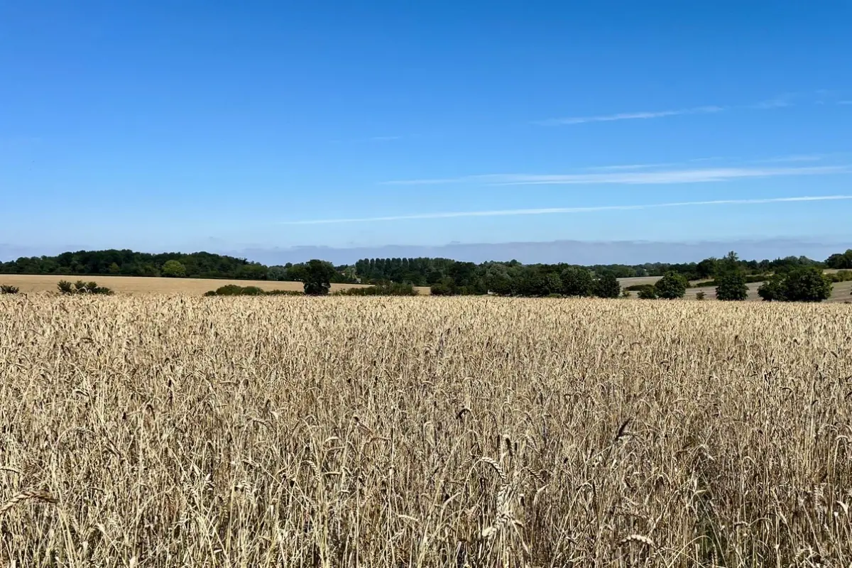 ACRE Farm + Bakery, Woodbridge