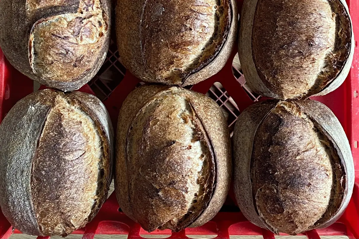 Assemble Bakery, Belfast