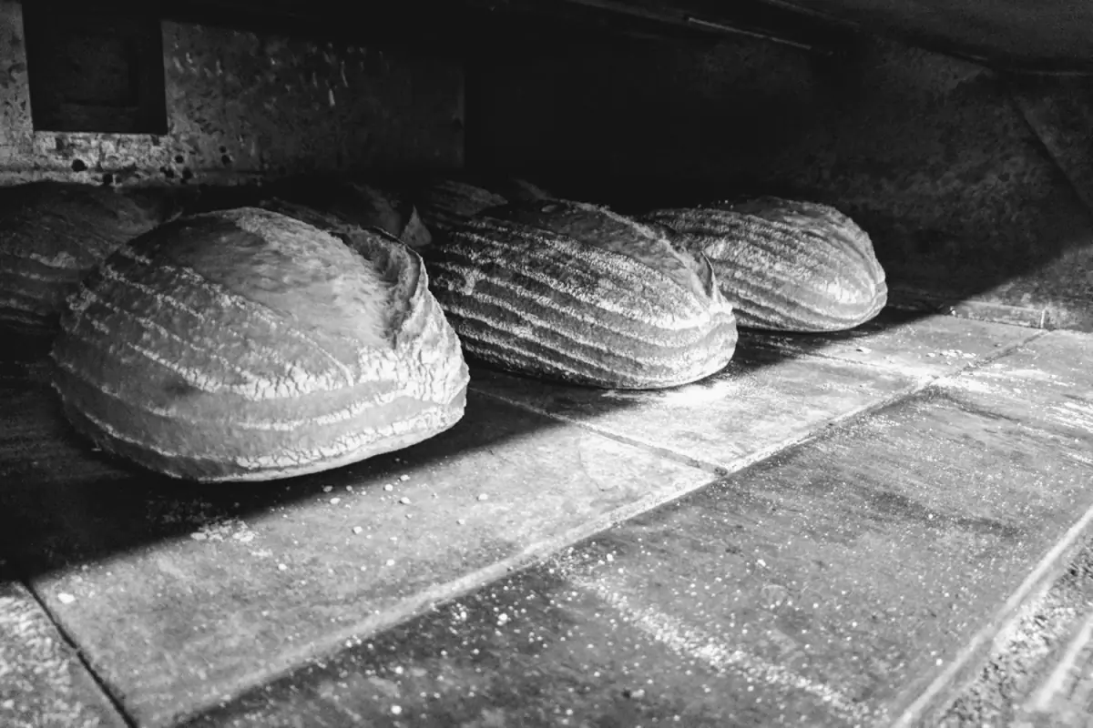 Bakehouse Born and Bread, Greenodd, Ulverston