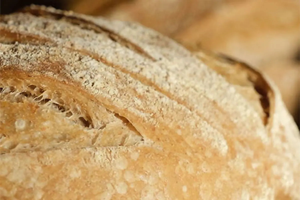 Joe's Bakery, Bristol