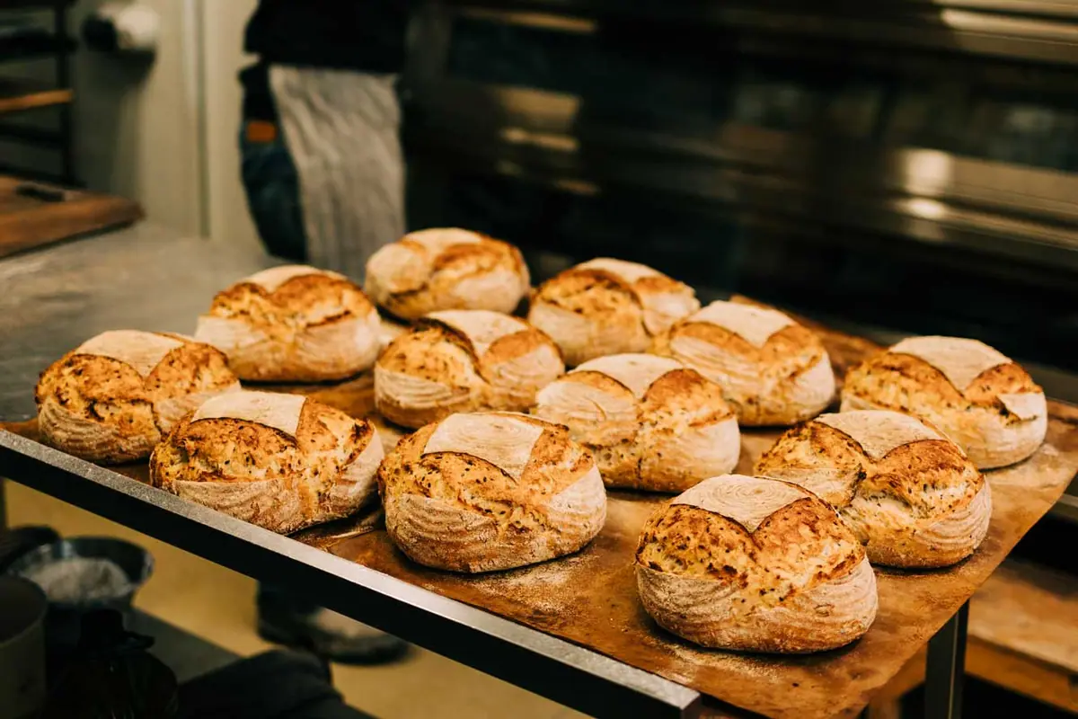 Leeds Bread Co-op, Leeds