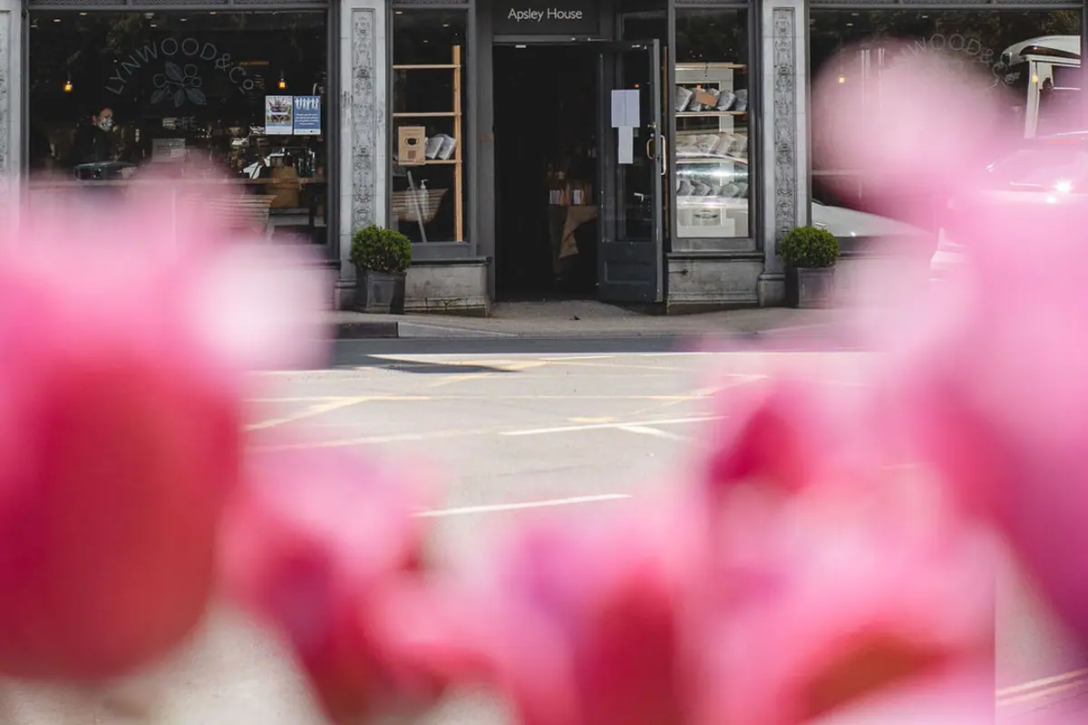 Lynwood & Co, Carterton