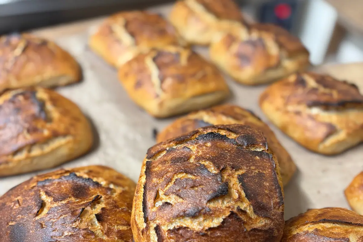 Solo Bread, Birkenhead