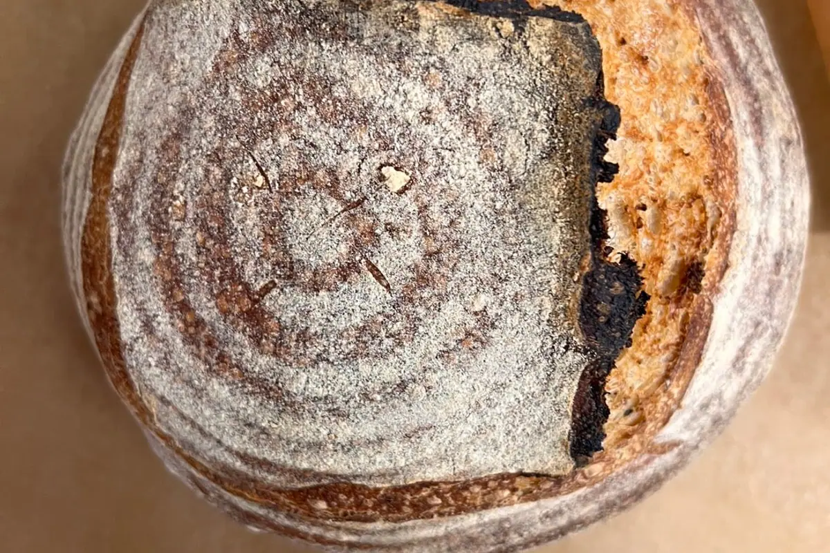 The Bread Shop, Limerick