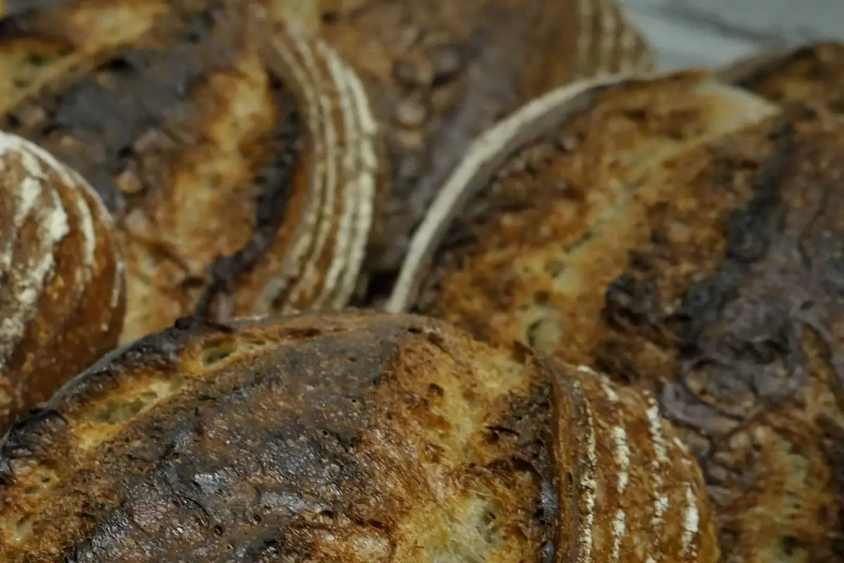 The Sidwell Street Bakehouse, Exeter